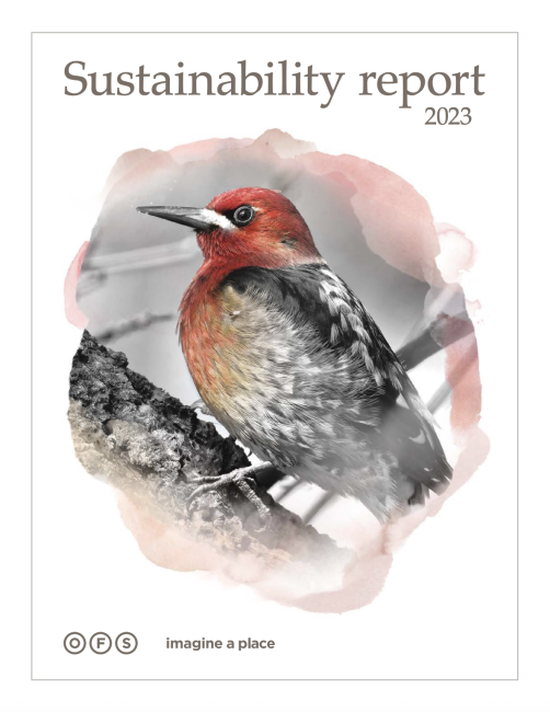 sustainability report 