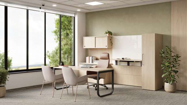 Adler, Sofy, and Kasura