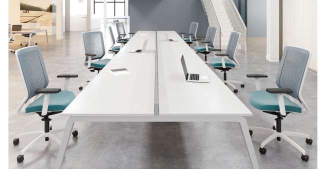 Genus and Eleven Workspace