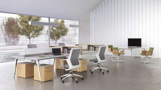 Eleven Workspace, Flexxy, and Madrid