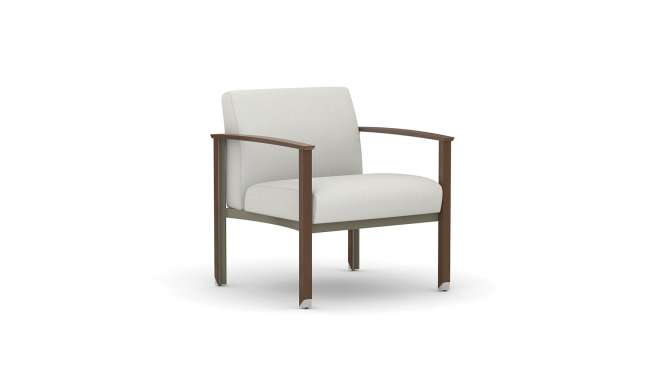 Silvr Ion Wood