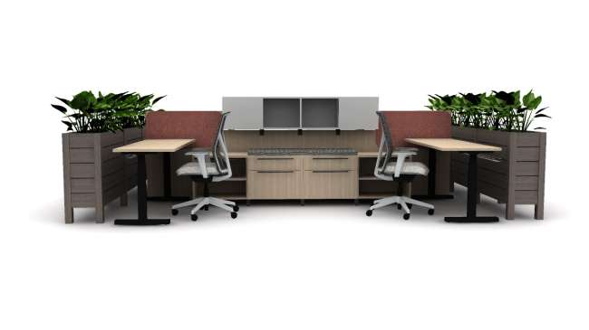 Staks, Intermix planter, and Zonal Staks, Intermix planter, and Zonal