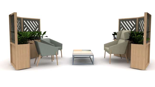 Elani, Puzzle, and Hydra