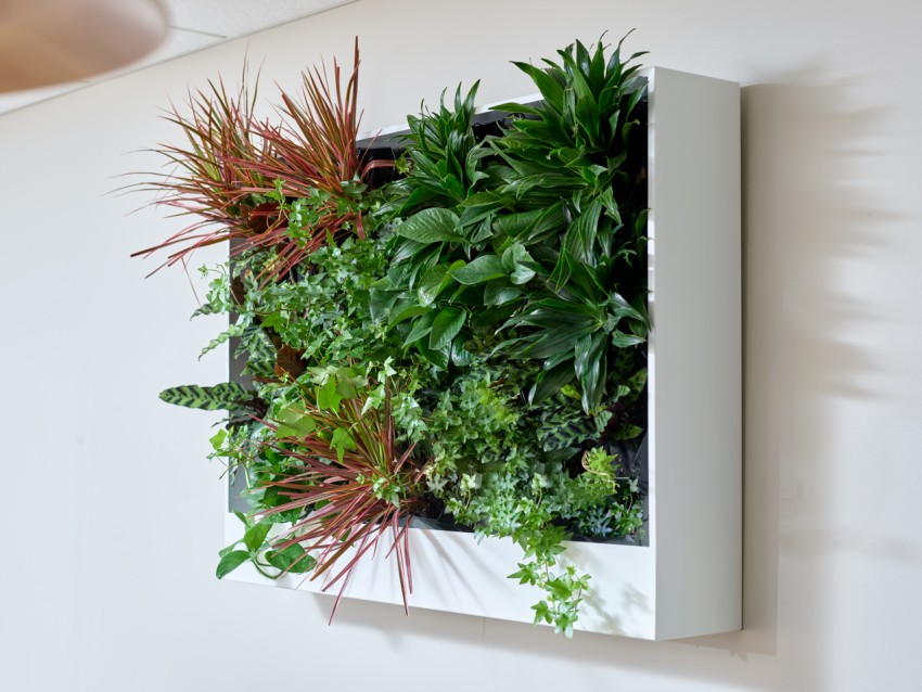 Living Wall Planter