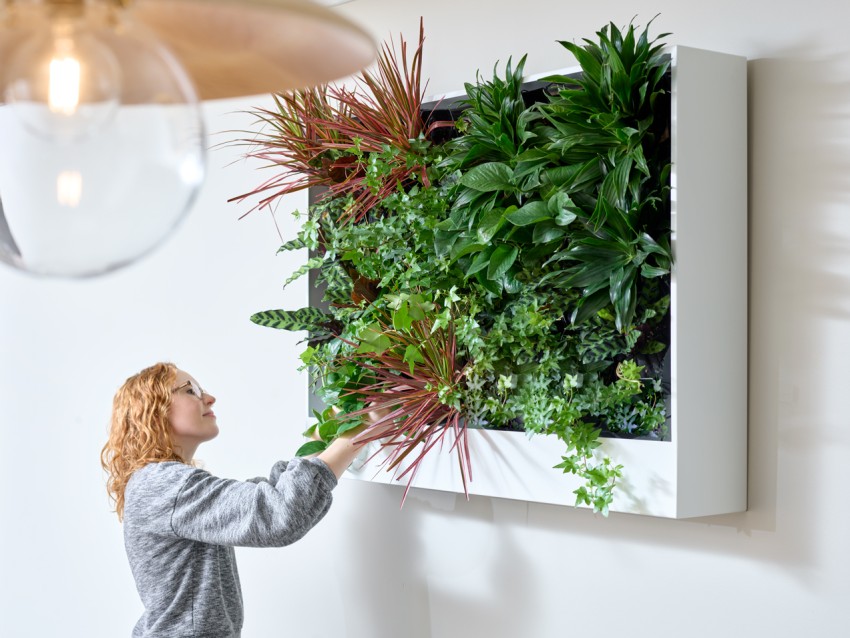 Living wall planter