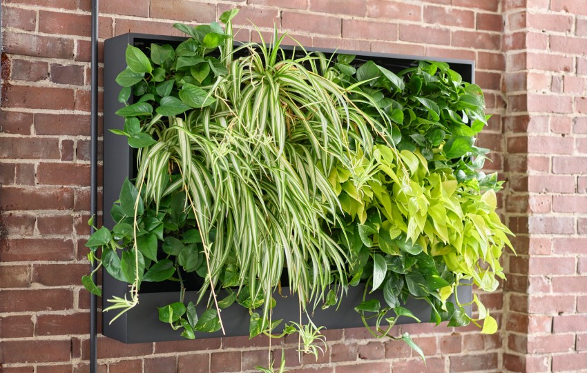 Living Wall Planter