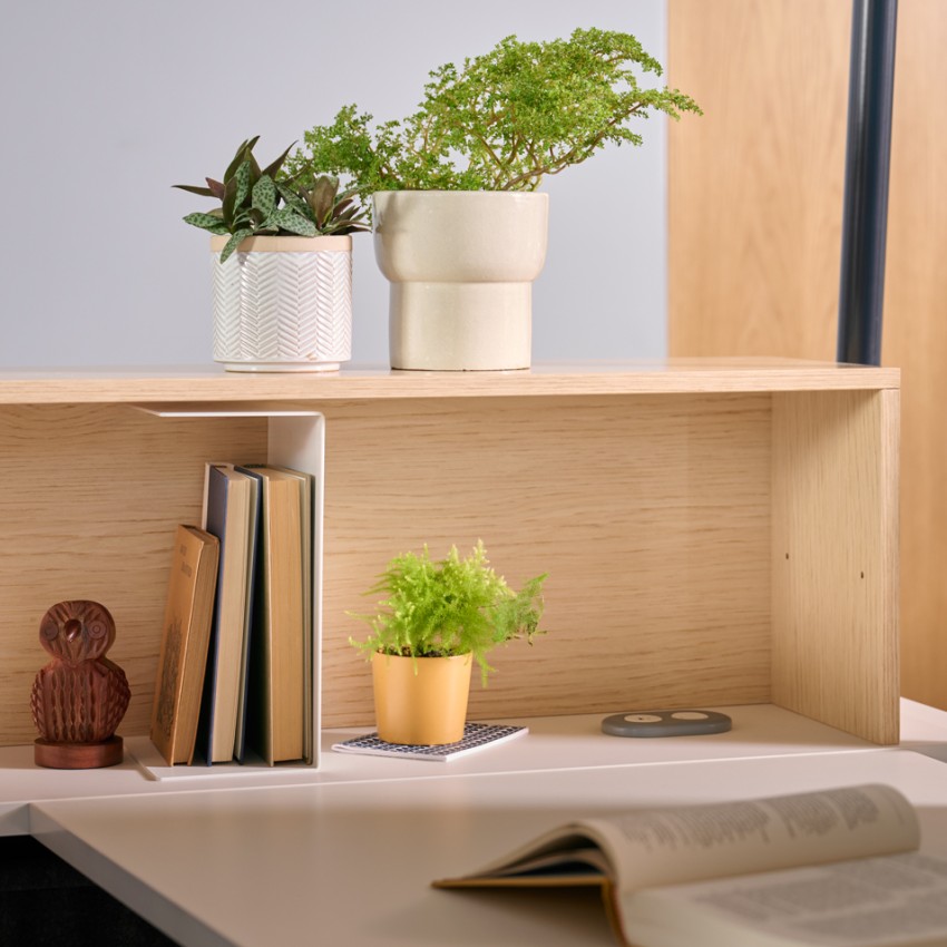 Kaleid workstation