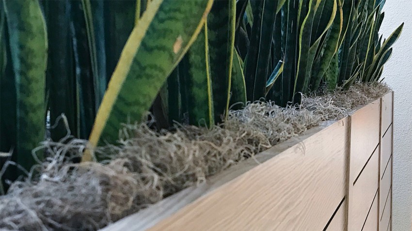 Intermix Planter
