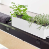 Spine perch pad | planter | transaction shelf