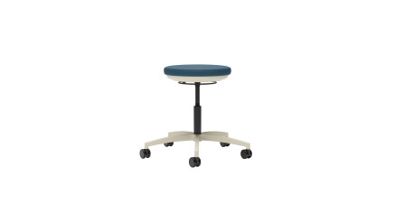 Stray physician's stool