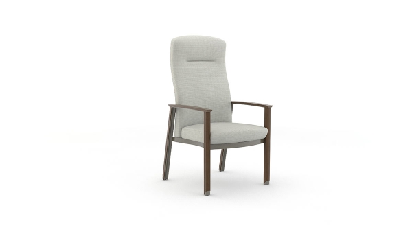 Silvr Ion Wood Silvr Ion Wood
