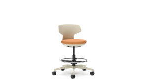Stray physician's stool