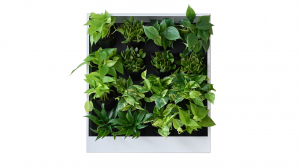 Living Wall Planter