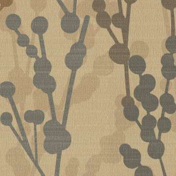 Vine Birch