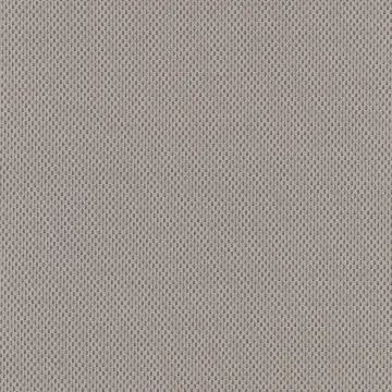 Plecto 0224