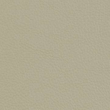 Sandstone Alabaster