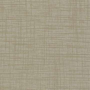 Terra Alabaster