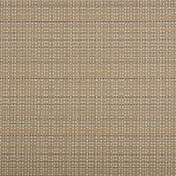 Threads Birch