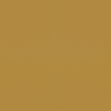Archetype