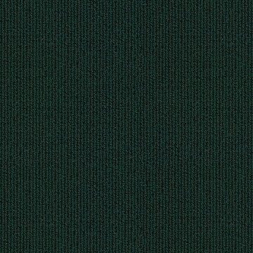 Mesh