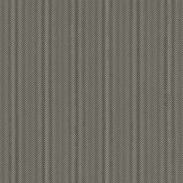Silicone Reveal