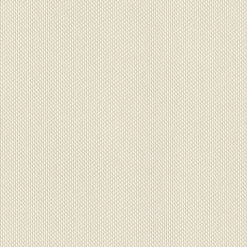 Silicone Reveal Bisque