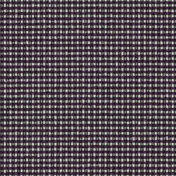 Mira Grape