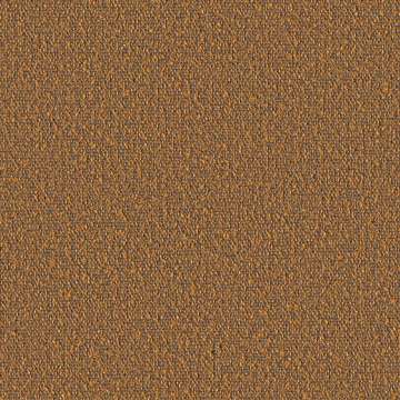 Tiny Boucle Amber