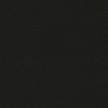 Brisa Forecast Black Onyx
