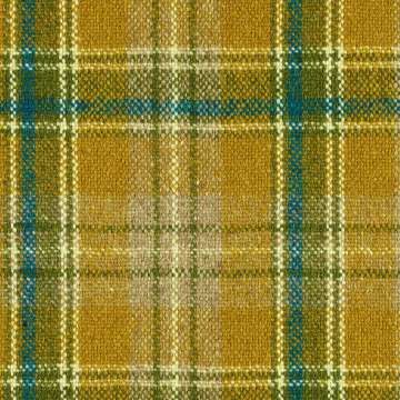 Pressed Plaid