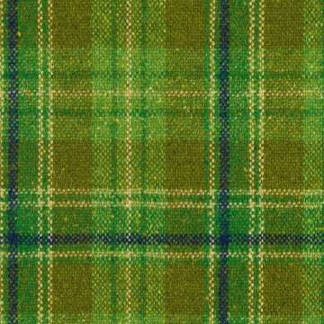Pressed Plaid Avocado