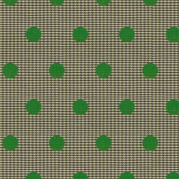 Dots Avocado