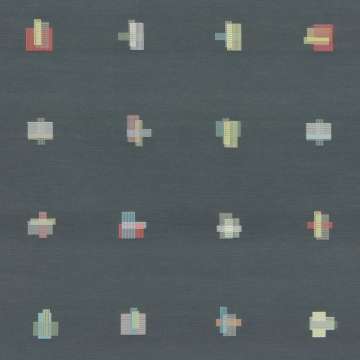 Darning Sampler