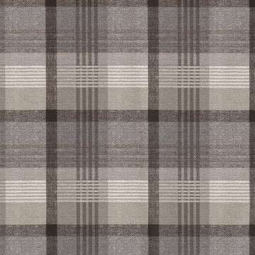 Tartan Print 101
