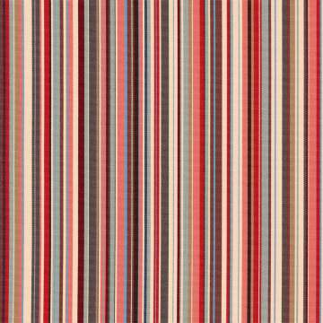 Meraki Stripe