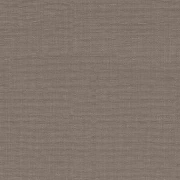 Xorel Strie 805