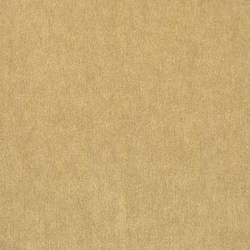 Francesca Wool