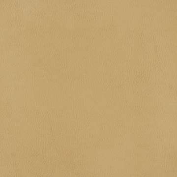 Bronco #1 Wheat