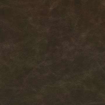 Draft Leather