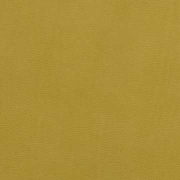 Steep Leather Cherish