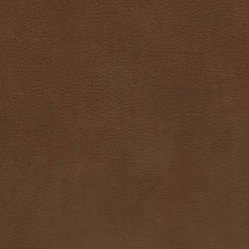 Steep Leather