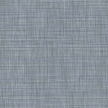 Mote
