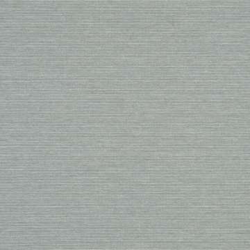 Parallel Argent