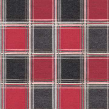 The Plaid