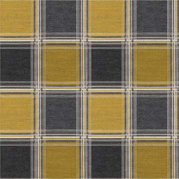 The Plaid