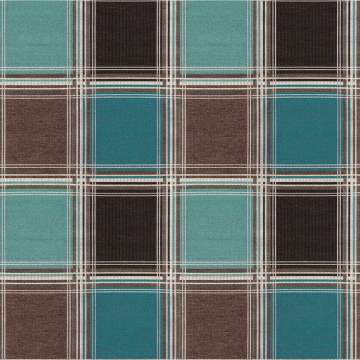 The Plaid