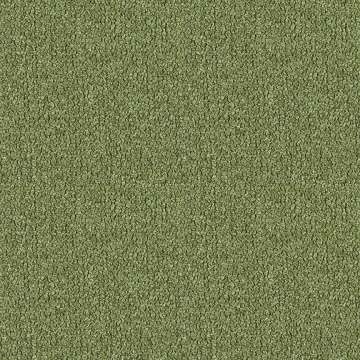 Highlands #10 Grass