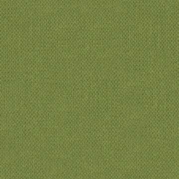 Illusion 2
