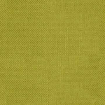 Illusion 2