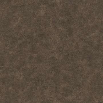Drifter #1 Bark